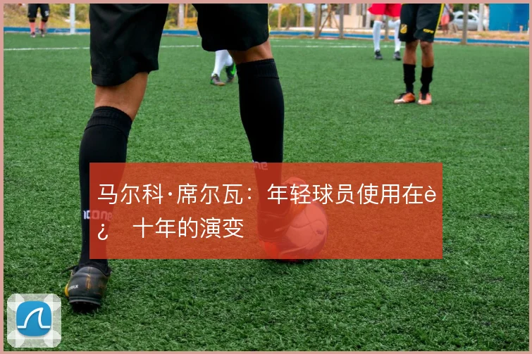 马尔科·席尔瓦：年轻球员使用在近十年的演变